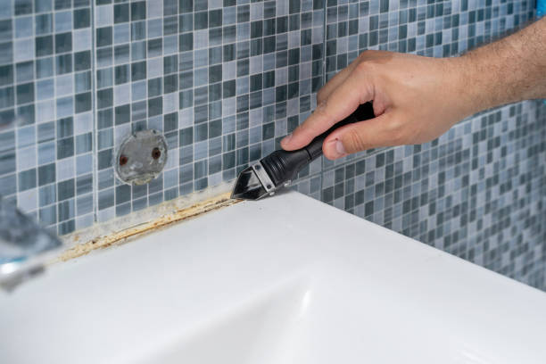 Best Basement Mold Remediation in Harrison, WI